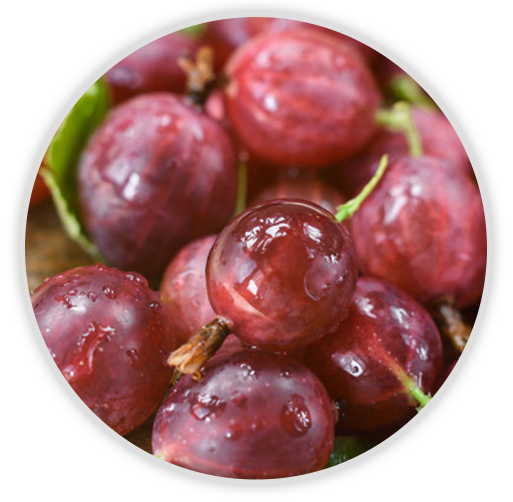 baies rouges